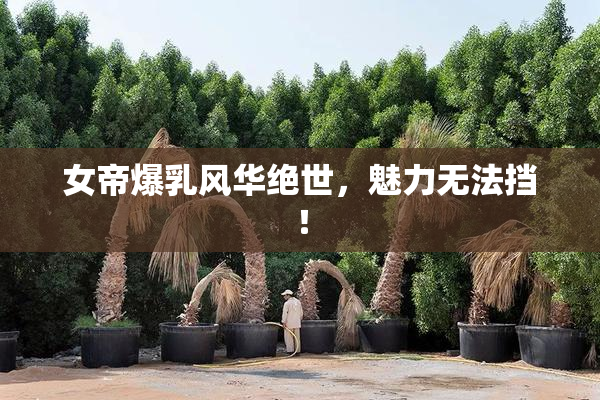 女帝爆乳风华绝世，魅力无法挡！