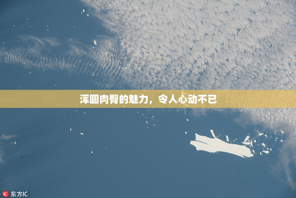 浑圆肉臀的魅力，令人心动不已