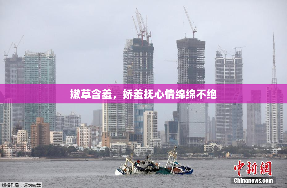 嫩草含羞，娇羞抚心情绵绵不绝