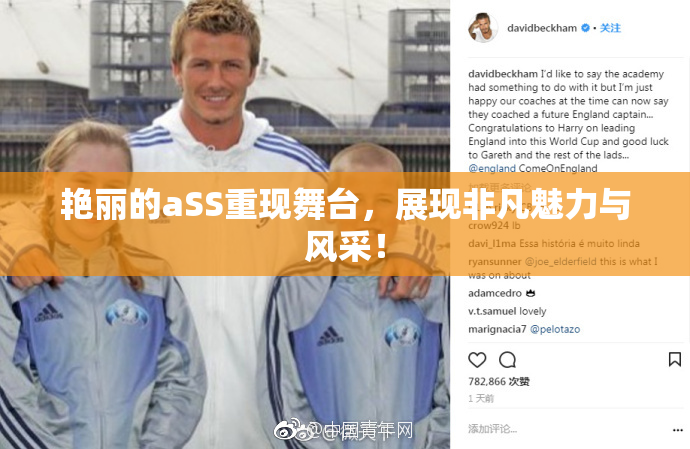 艳丽的aSS重现舞台，展现非凡魅力与风采！
