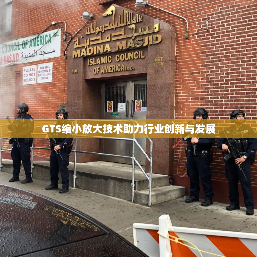 GTS缩小放大技术助力行业创新与发展