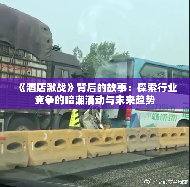 《酒店激战》背后的故事：探索行业竞争的暗潮涌动与未来趋势