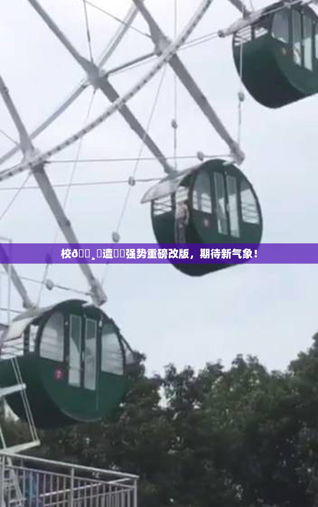 校🌸‌遭❌‌强势重磅改版，期待新气象！
