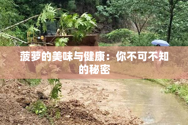 菠萝的美味与健康：你不可不知的秘密