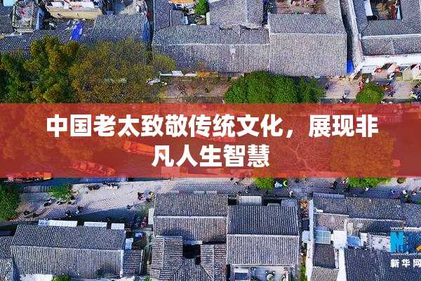 中国老太致敬传统文化，展现非凡人生智慧