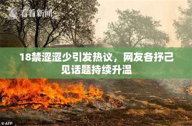 18禁涩涩少引发热议，网友各抒己见话题持续升温