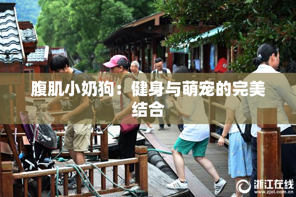 腹肌小奶狗：健身与萌宠的完美结合