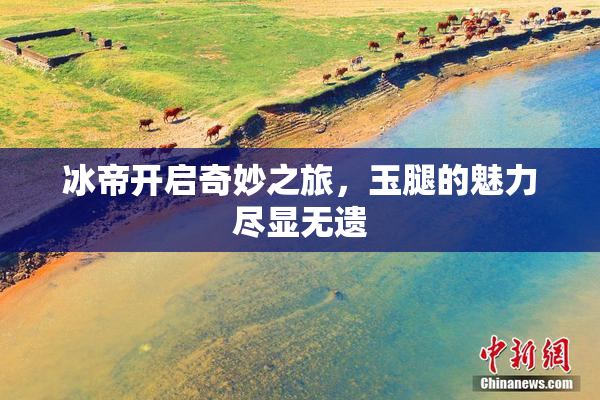 冰帝开启奇妙之旅，玉腿的魅力尽显无遗
