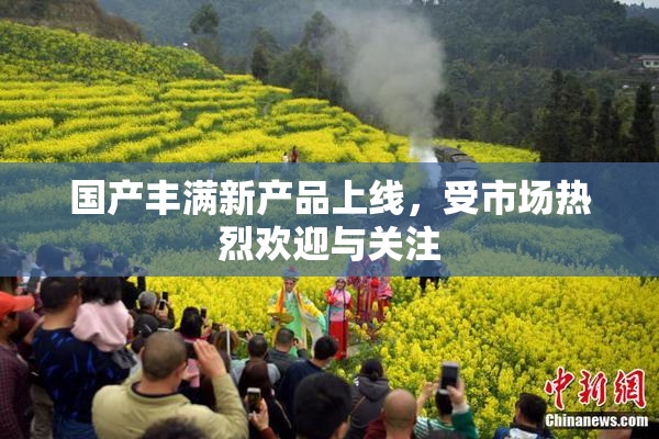 国产丰满新产品上线，受市场热烈欢迎与关注