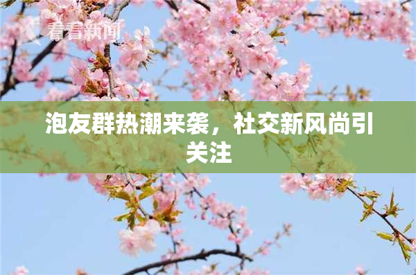 泡友群热潮来袭，社交新风尚引关注