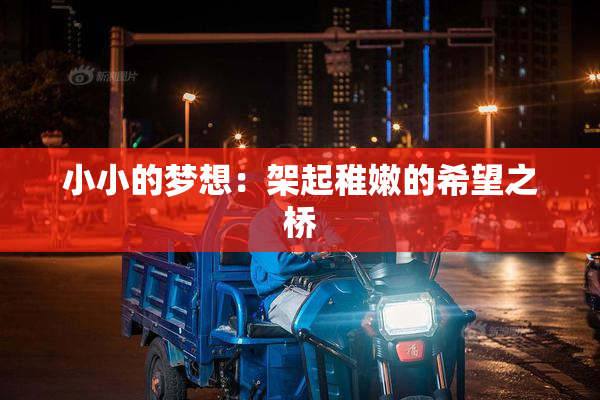 小小的梦想：架起稚嫩的希望之桥