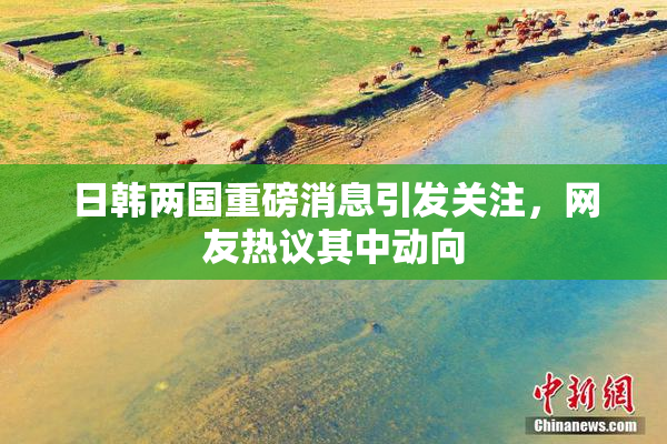 日韩两国重磅消息引发关注，网友热议其中动向