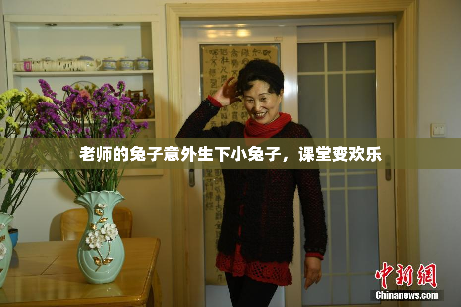 老师的兔子意外生下小兔子，课堂变欢乐