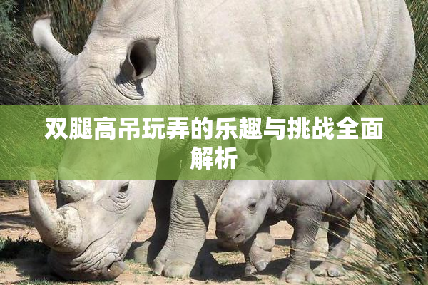 双腿高吊玩弄的乐趣与挑战全面解析