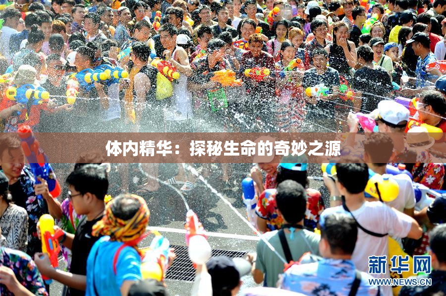 体内精华：探秘生命的奇妙之源