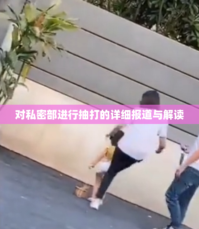 对私密部进行抽打的详细报道与解读
