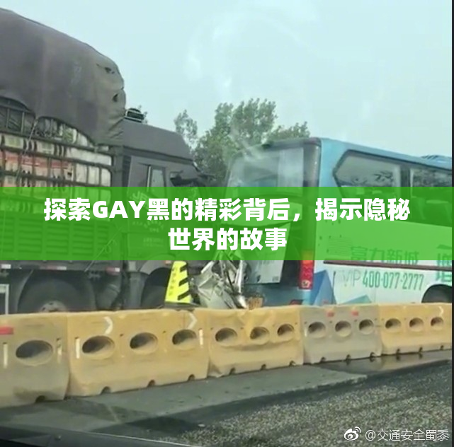 探索GAY黑的精彩背后，揭示隐秘世界的故事