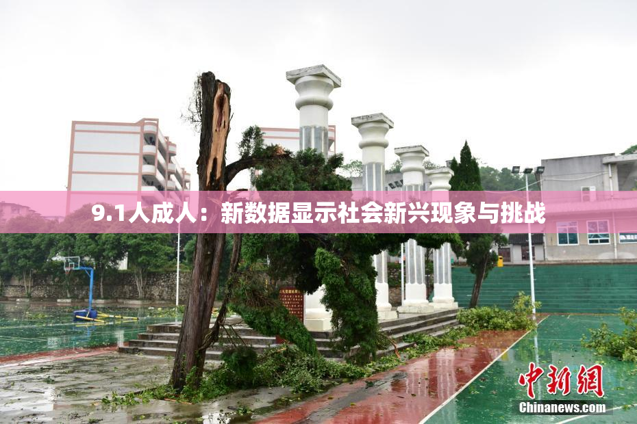 9.1人成人：新数据显示社会新兴现象与挑战
