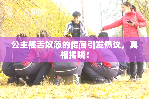 公主被舌奴添的传闻引发热议，真相揭晓！
