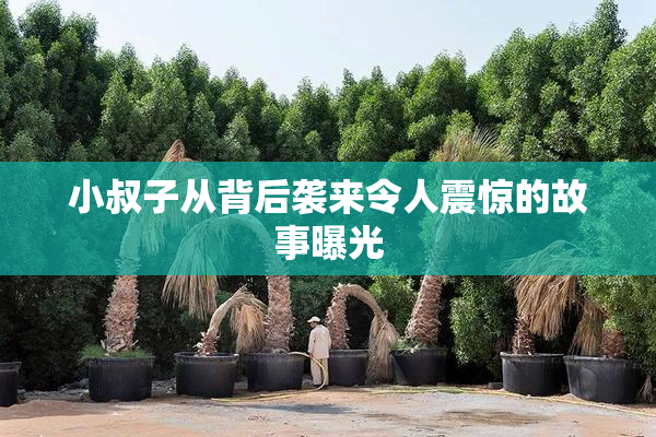 小叔子从背后袭来令人震惊的故事曝光