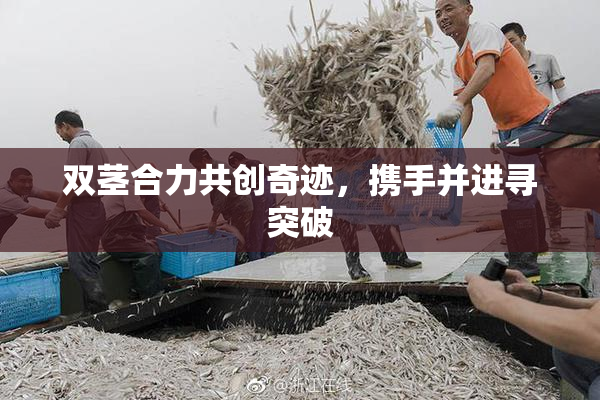 双茎合力共创奇迹，携手并进寻突破