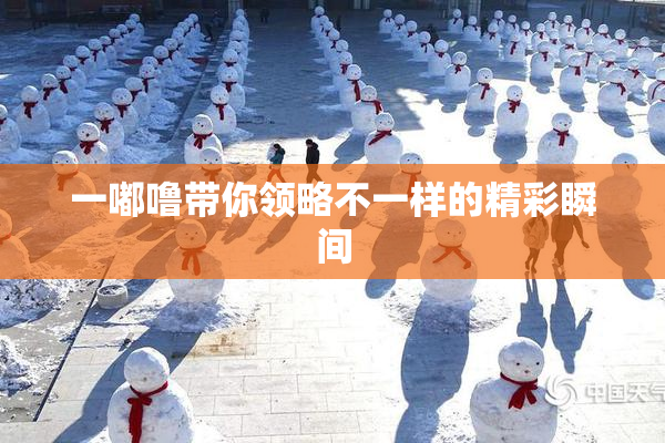 一嘟噜带你领略不一样的精彩瞬间