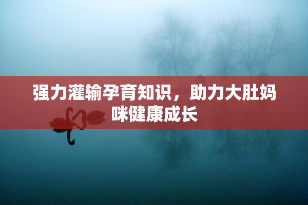 强力灌输孕育知识，助力大肚妈咪健康成长