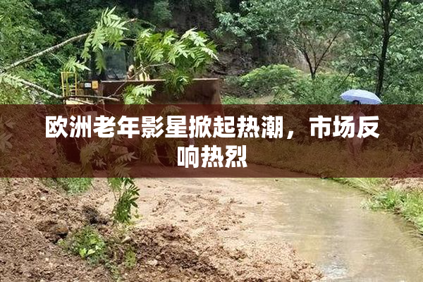 欧洲老年影星掀起热潮，市场反响热烈