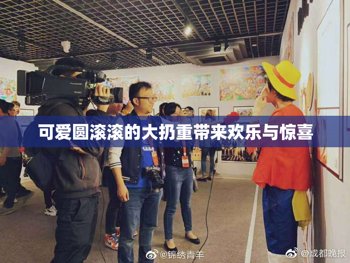可爱圆滚滚的大扔重带来欢乐与惊喜