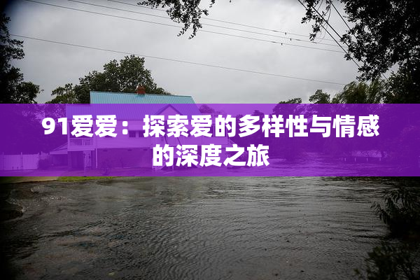 91爱爱：探索爱的多样性与情感的深度之旅