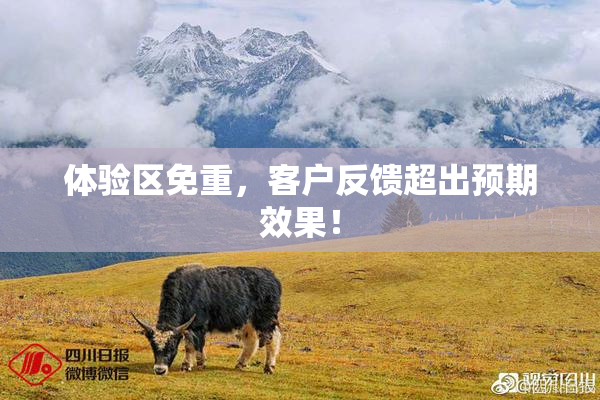 体验区免重，客户反馈超出预期效果！