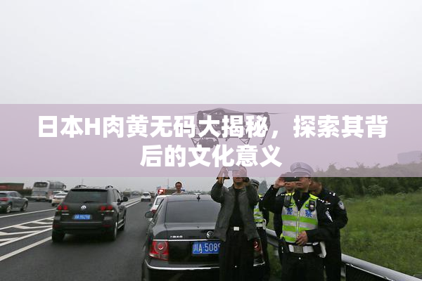 日本H肉黄无码大揭秘，探索其背后的文化意义