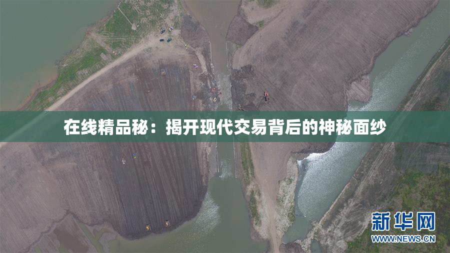 在线精品秘：揭开现代交易背后的神秘面纱