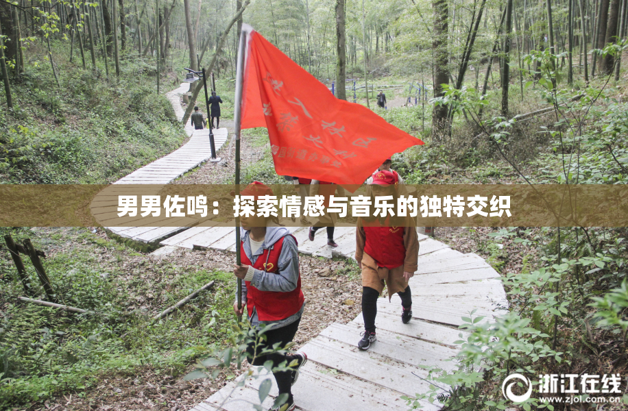 男男佐鸣：探索情感与音乐的独特交织