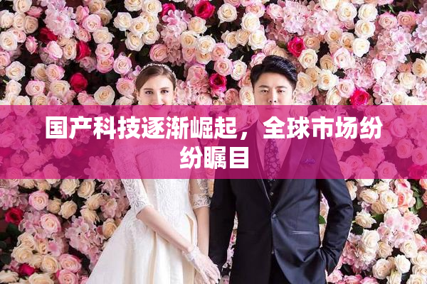 国产科技逐渐崛起，全球市场纷纷瞩目