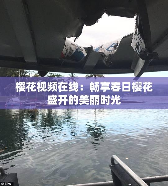 樱花视频在线：畅享春日樱花盛开的美丽时光