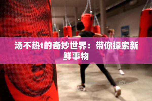 汤不热t的奇妙世界：带你探索新鲜事物