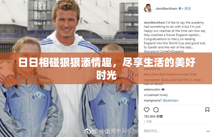 日日相碰狠狠添情趣，尽享生活的美好时光