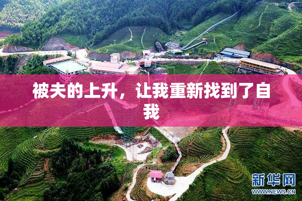 被夫的上升，让我重新找到了自我