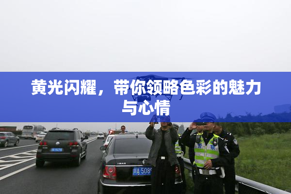 黄光闪耀，带你领略色彩的魅力与心情