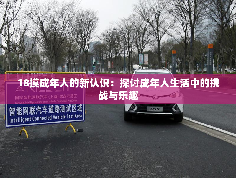 18摸成年人的新认识：探讨成年人生活中的挑战与乐趣