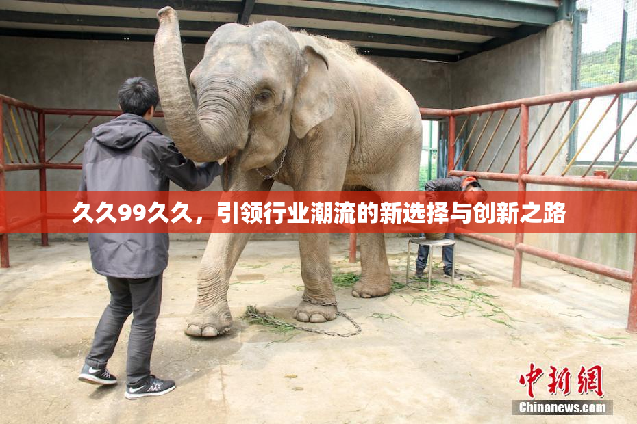 久久99久久，引领行业潮流的新选择与创新之路
