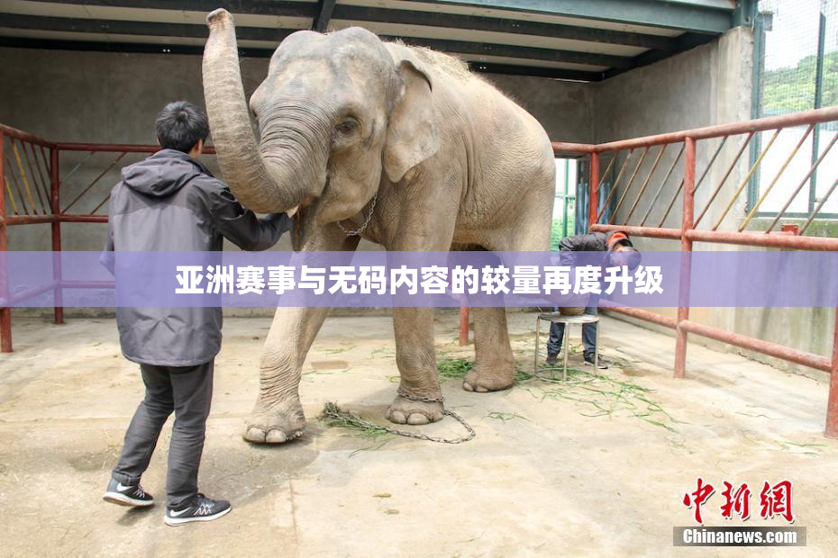 亚洲赛事与无码内容的较量再度升级