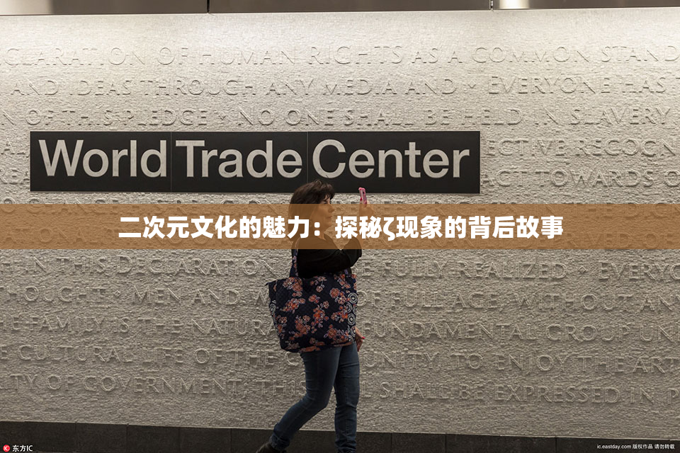 二次元文化的魅力：探秘ζ现象的背后故事