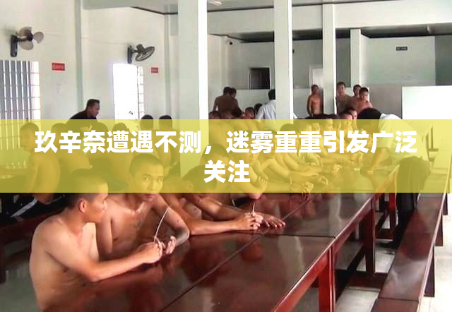 玖辛奈遭遇不测，迷雾重重引发广泛关注