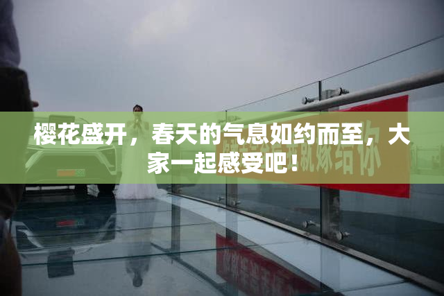 樱花盛开，春天的气息如约而至，大家一起感受吧！