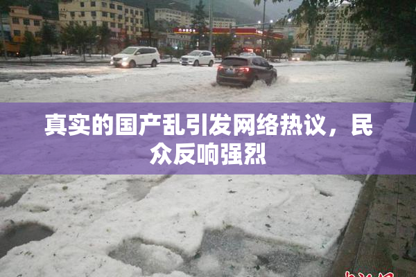 真实的国产乱引发网络热议，民众反响强烈
