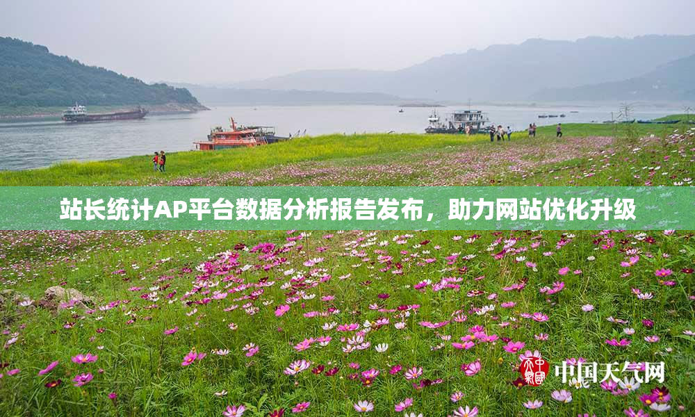 站长统计AP平台数据分析报告发布，助力网站优化升级