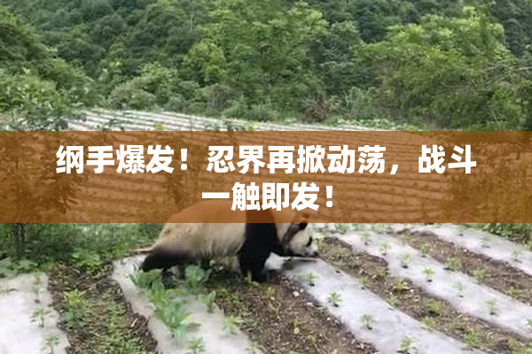 纲手爆发！忍界再掀动荡，战斗一触即发！