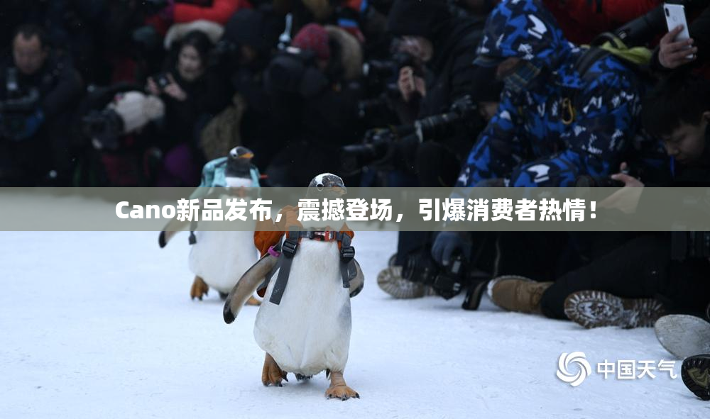 Cano新品发布，震撼登场，引爆消费者热情！